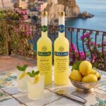 PALLINI — Where Italian Taste Takes Shape